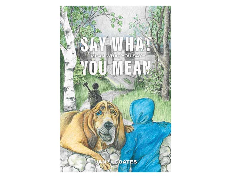 Say-What-You-Mean book cover