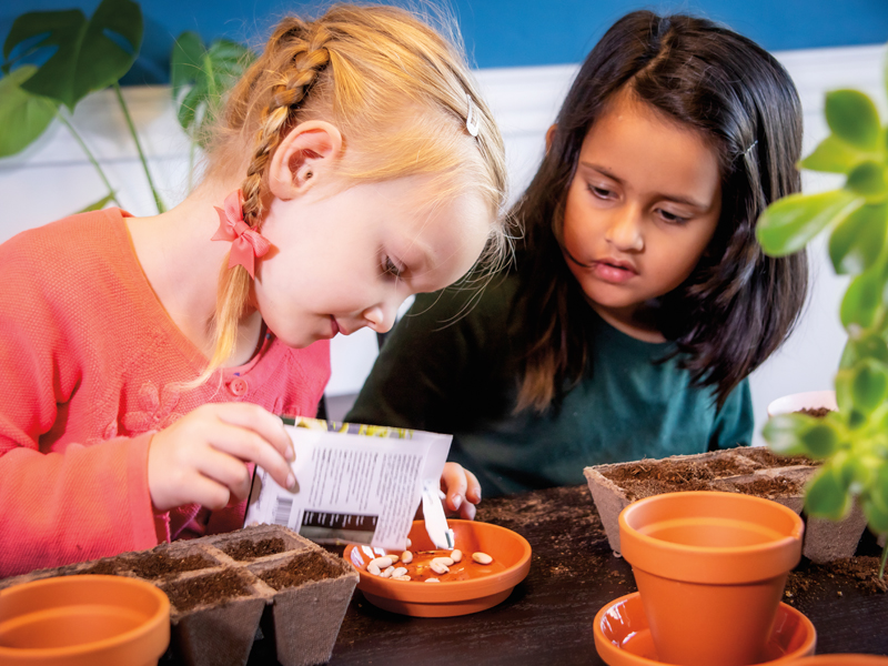Sophie George, 5, and Sofia Hussain, almost 5, of Sackville, plant an indoor garden. Photo by Bruce Murray, VisionFire
